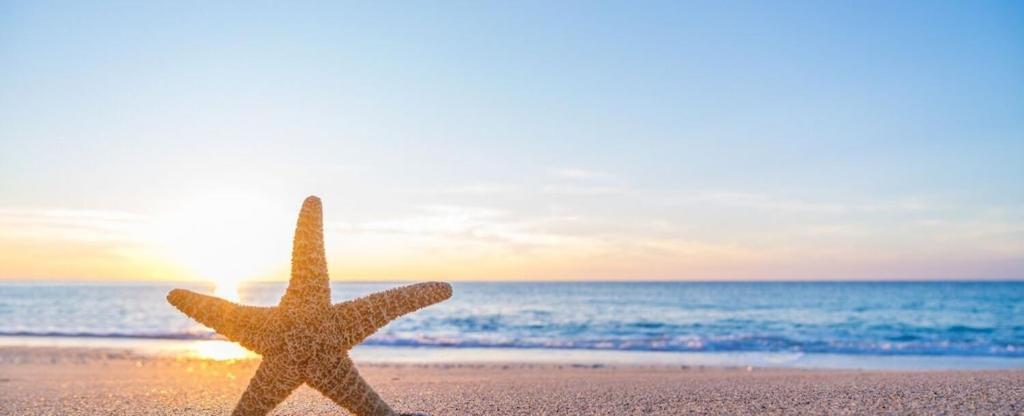 Biloxi Beach Condo-B Dış mekan fotoğraf